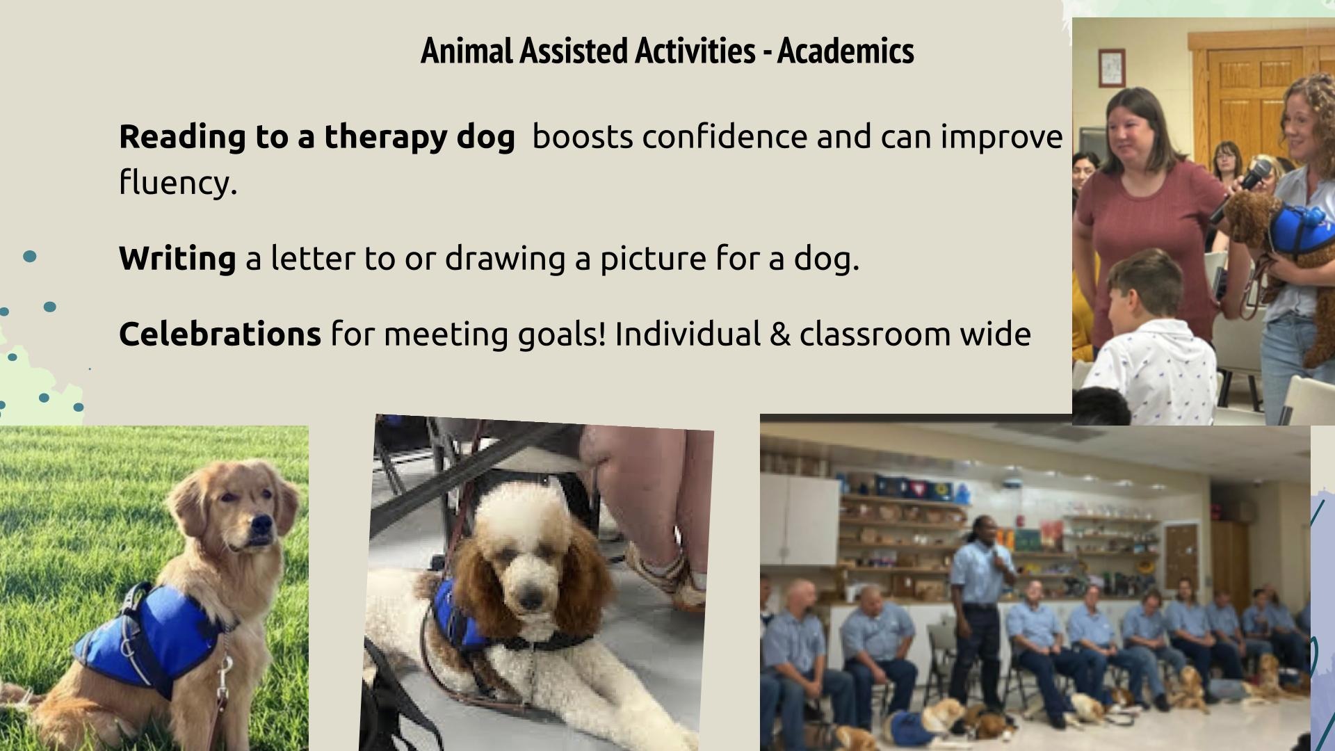 Animal Assisted Activities - Academics