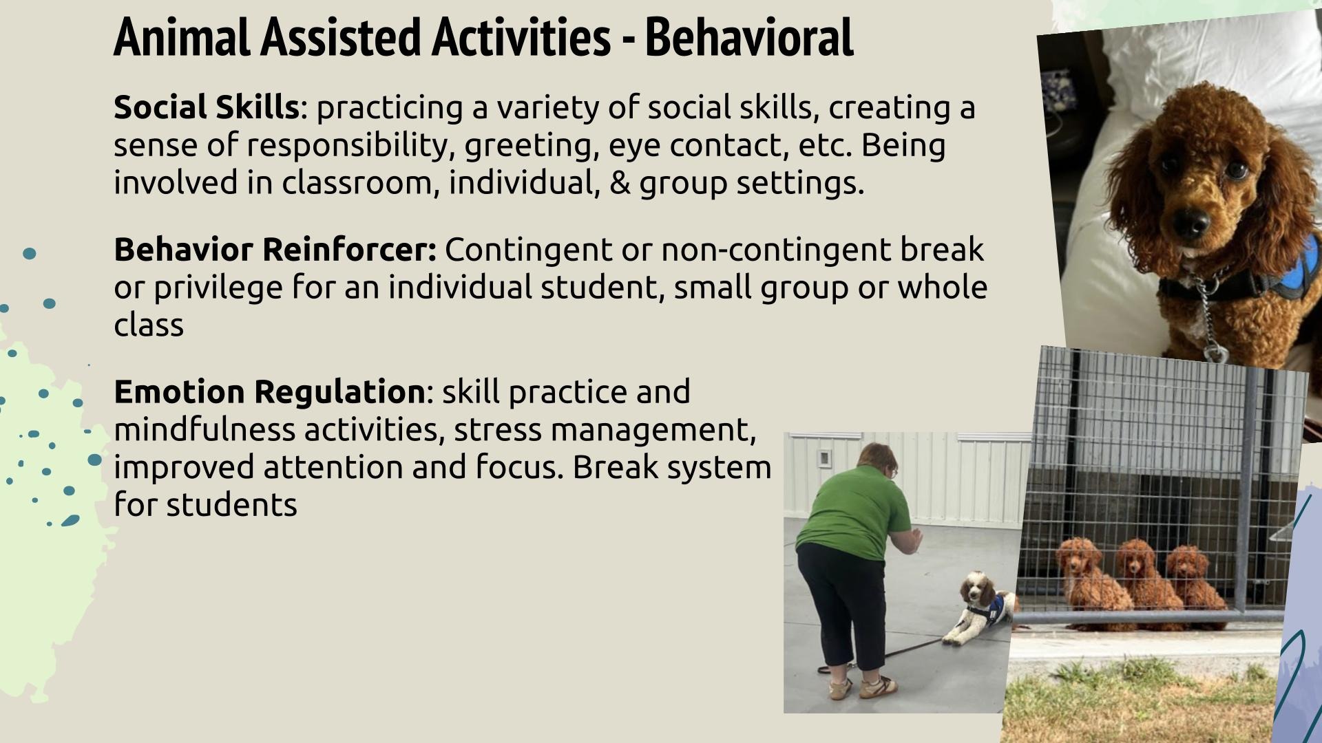 Animal Assisted Activities - Behavioral