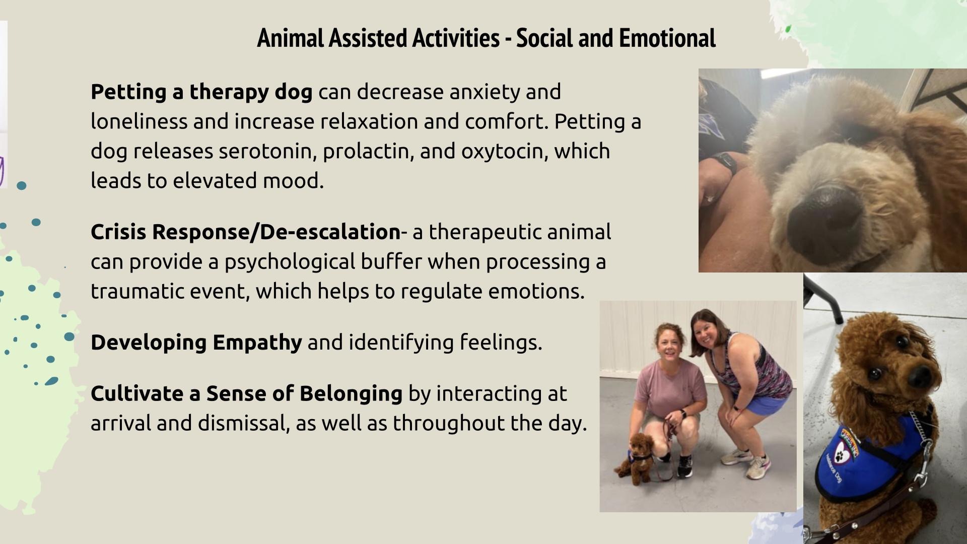 Animal Assisted Activities - Social & Emotional