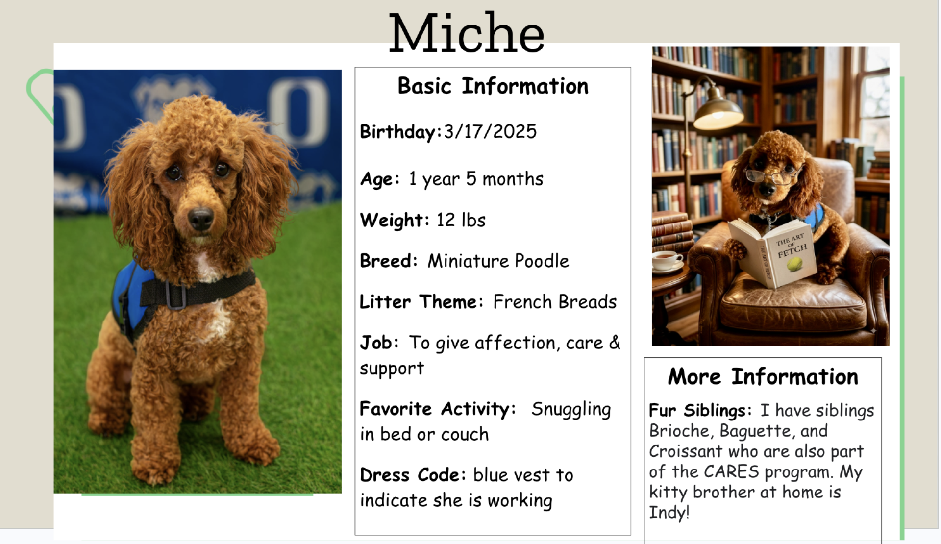 Miche