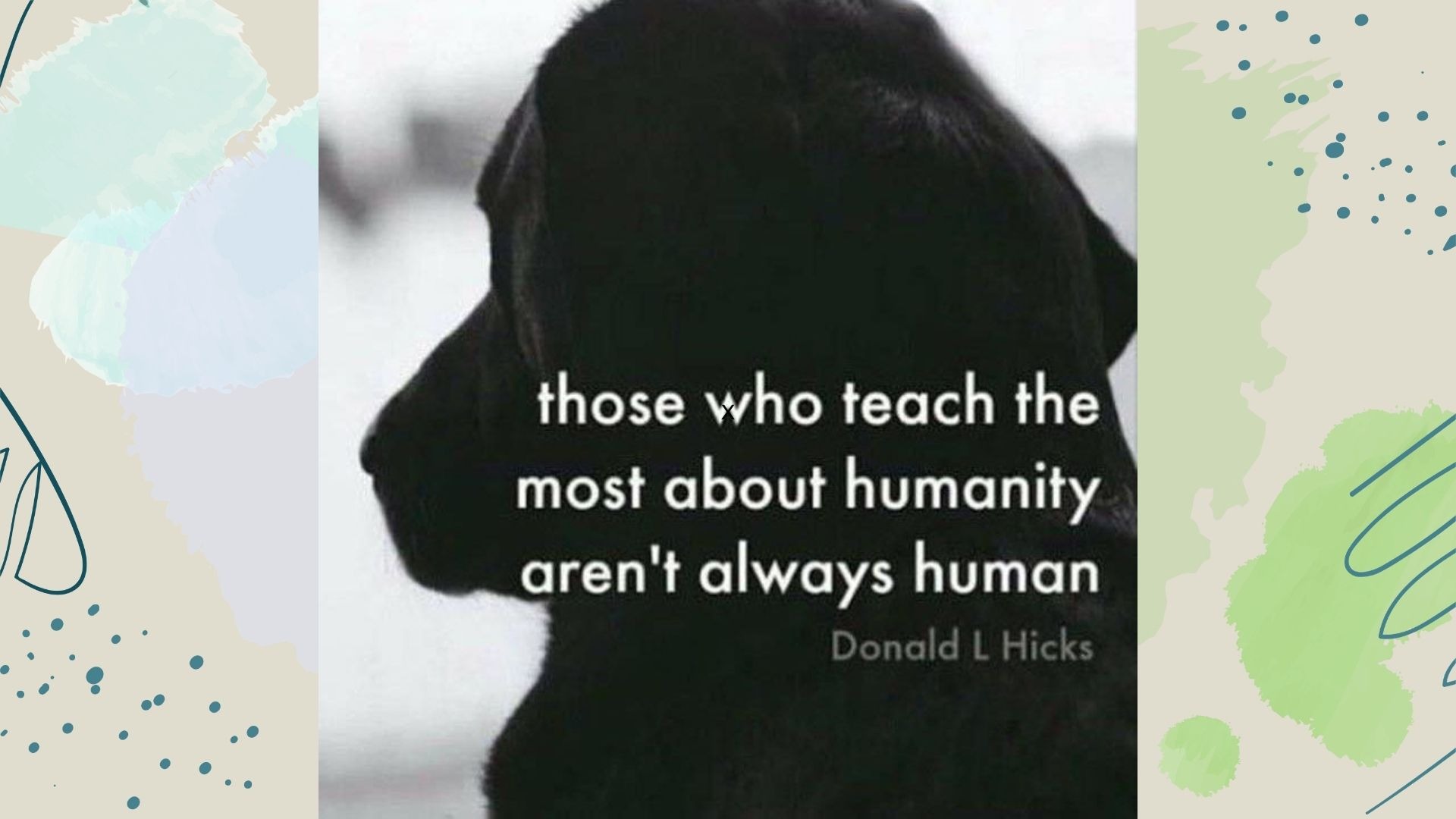 therapy dog hs